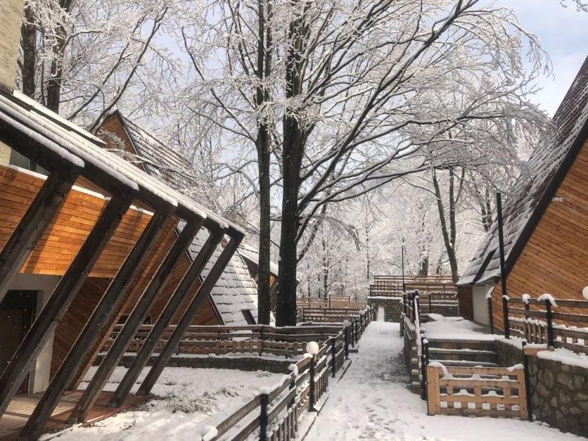 Brezovica Luxury Villa, ブレゾヴィツェ エクステリア 写真