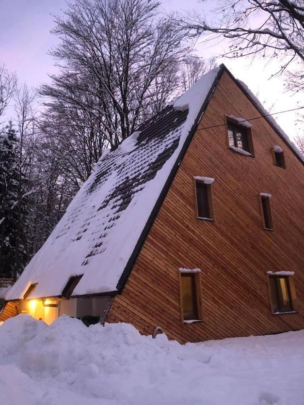 Brezovica Luxury Villa, ブレゾヴィツェ エクステリア 写真