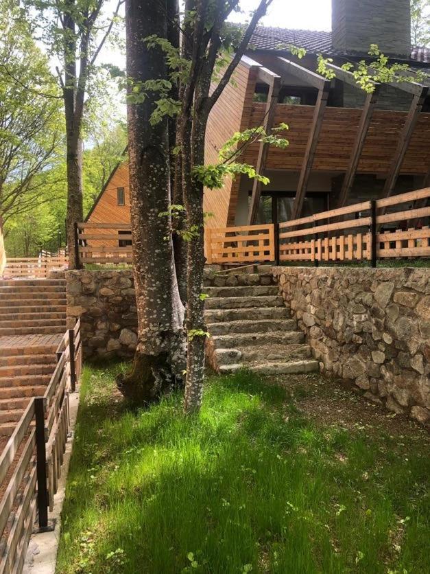 Brezovica Luxury Villa, ブレゾヴィツェ エクステリア 写真