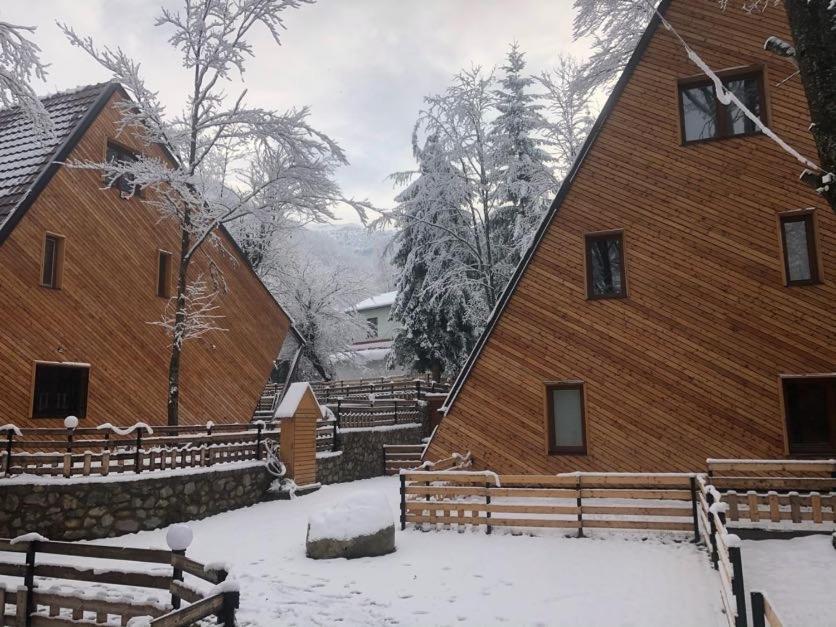 Brezovica Luxury Villa, ブレゾヴィツェ エクステリア 写真