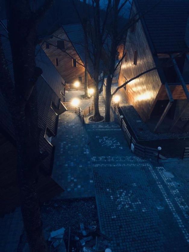 Brezovica Luxury Villa, ブレゾヴィツェ エクステリア 写真