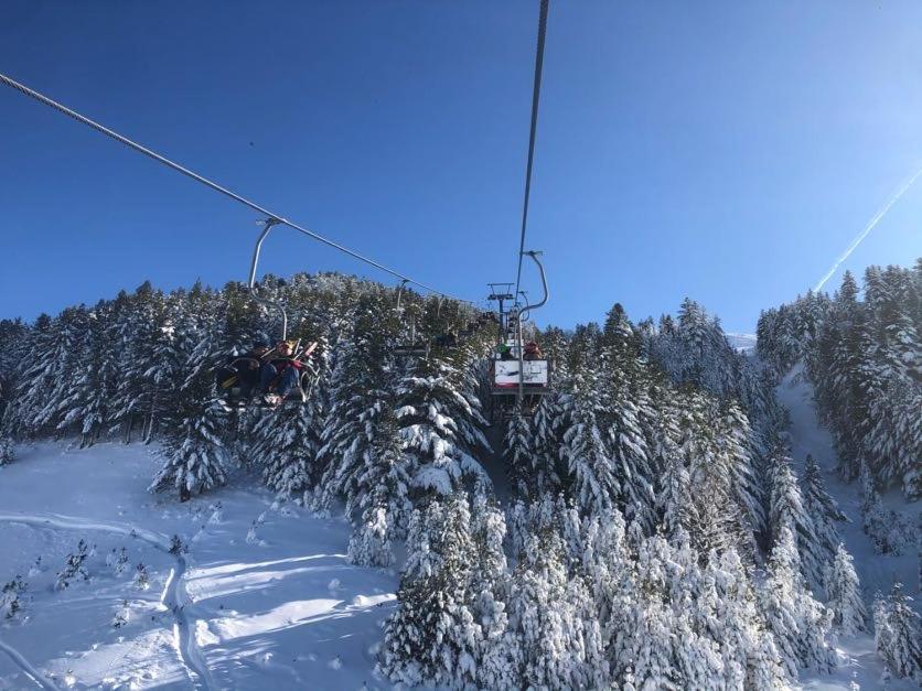 Brezovica Luxury Villa, ブレゾヴィツェ エクステリア 写真